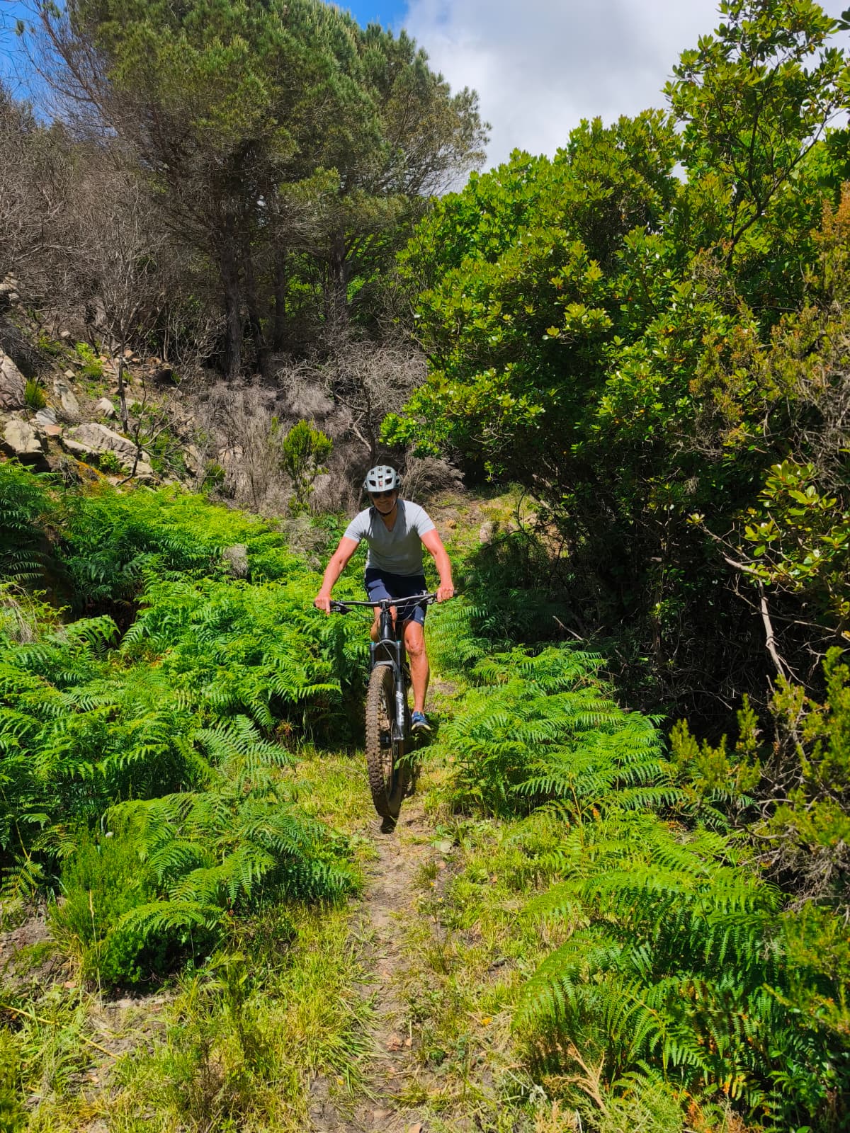 Imagen de WhatsApp 2025 11 03 a las 07.38.40 c9600b47